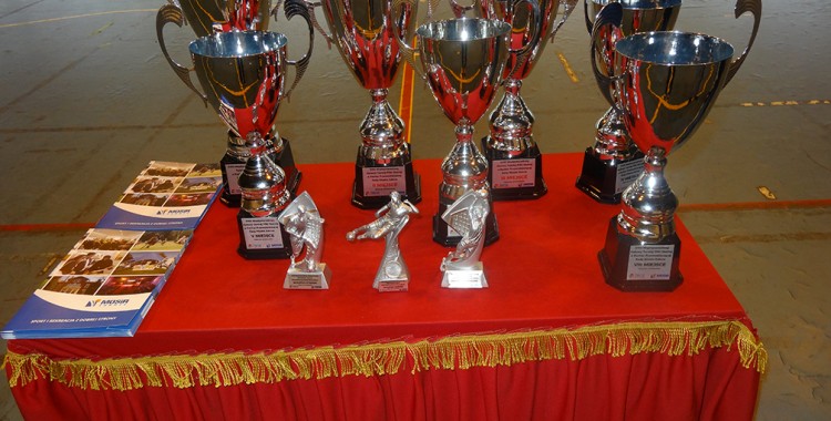 Wyniki XXIII Międzynarodowego Halowego Turnieju Piłki Nożnej Trampkarzy o Puchar Przewodniczącej Rady Miasta Zabrze